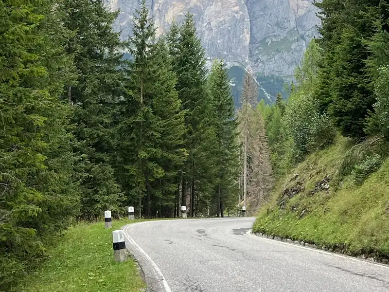 Leere, kurvige Landstraße durch Nadelwald, am Ende ragen helle Dolomitenwände auf.